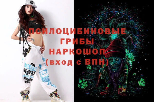 эйфоретик Алзамай