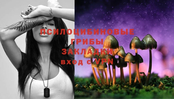 эйфоретик Алзамай