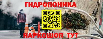 тгк Можга
