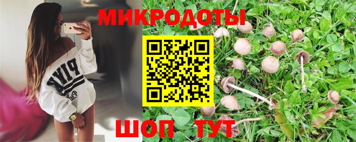 Псилоцибиновые грибы прущие грибы Солнечногорск