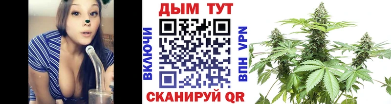 магазин продажи   Солнечногорск  Бошки марихуана гибрид 