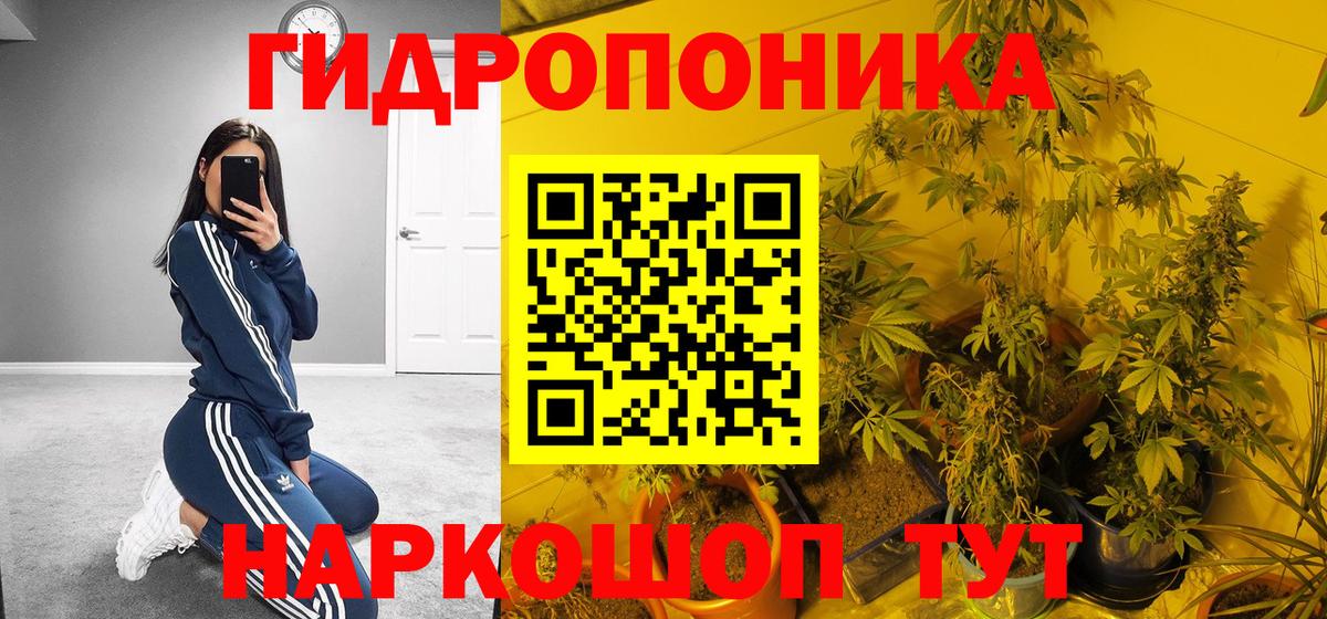 Солнечногорск  Каннабис VHQ  Вход с VPN  Канабис ГИДРОПОН  МАРИХУАНА White Widow  Канабис индика 
